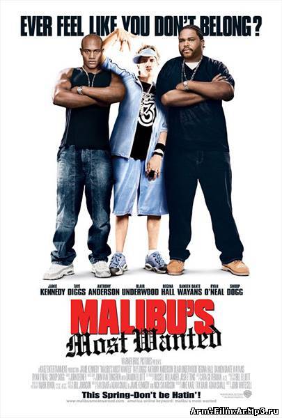 Разыскиваются в Малибу (2003)